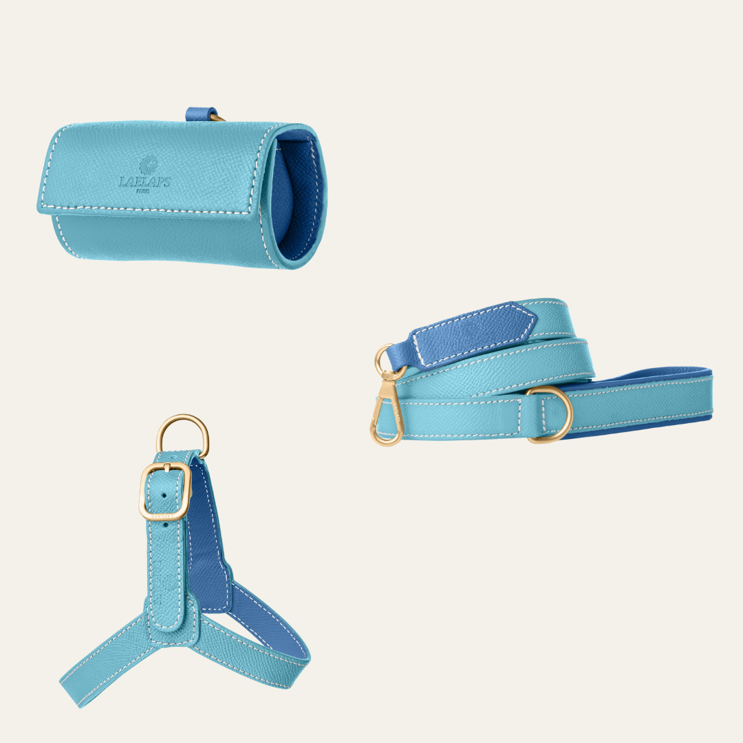 The perfect light blue harness set for your furry friend