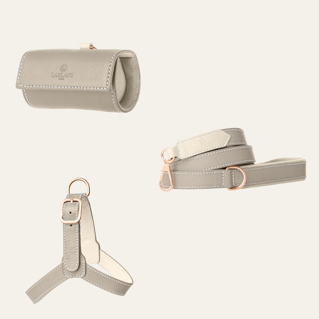 The perfect light grey harness set for your furry friend