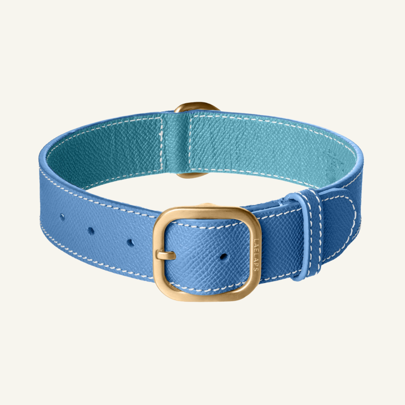 Blue Leather Collar