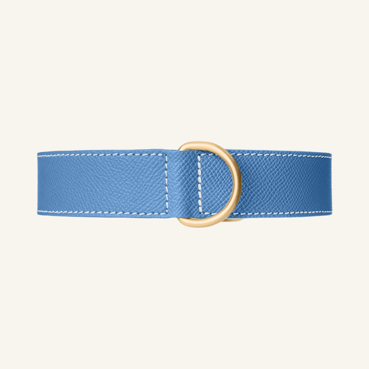 Leren Halsband Blauw