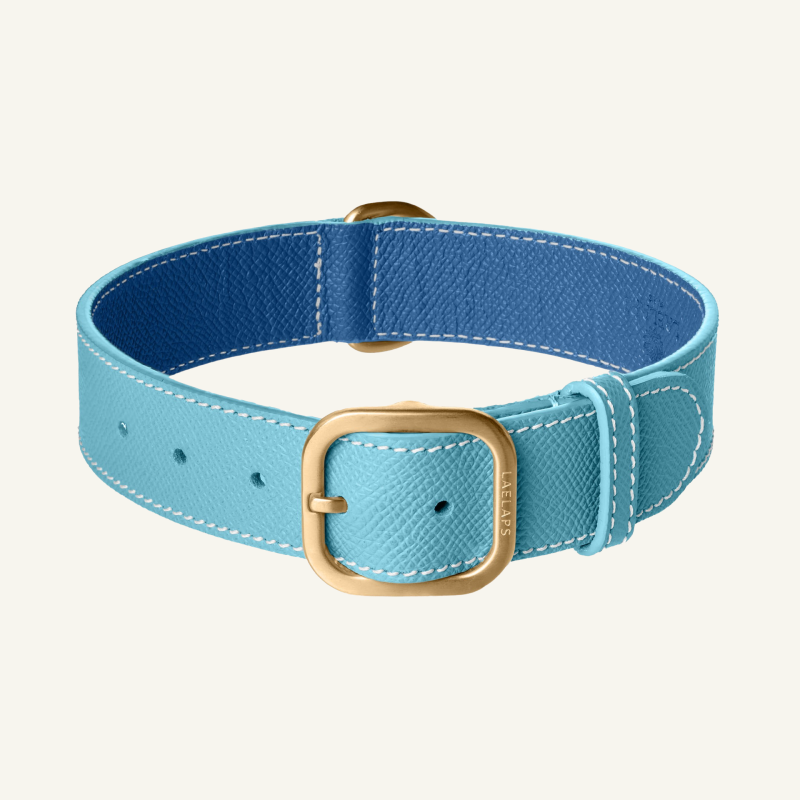 Light Blue Leather Collar