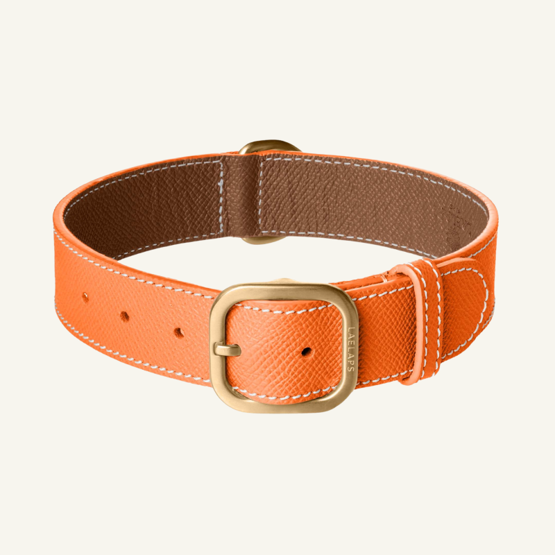 Orange Leather Collar