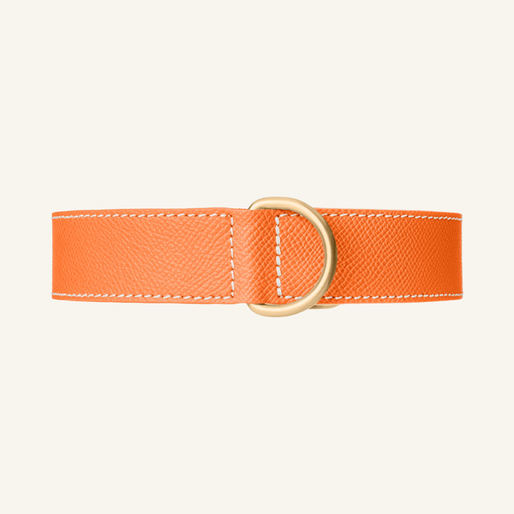 Leren Halsband Oranje