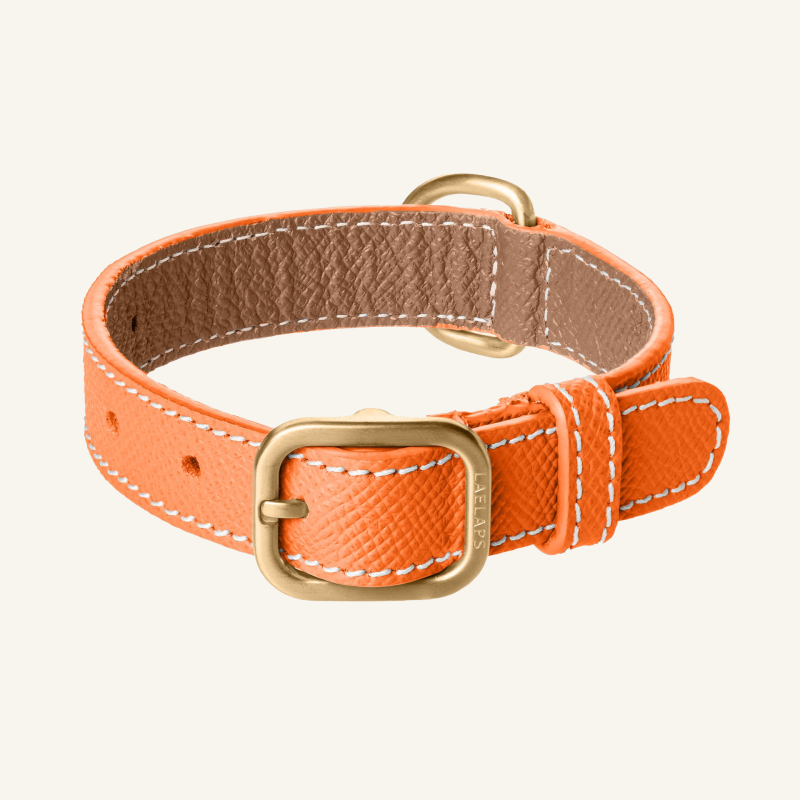 Leather Collar Orange