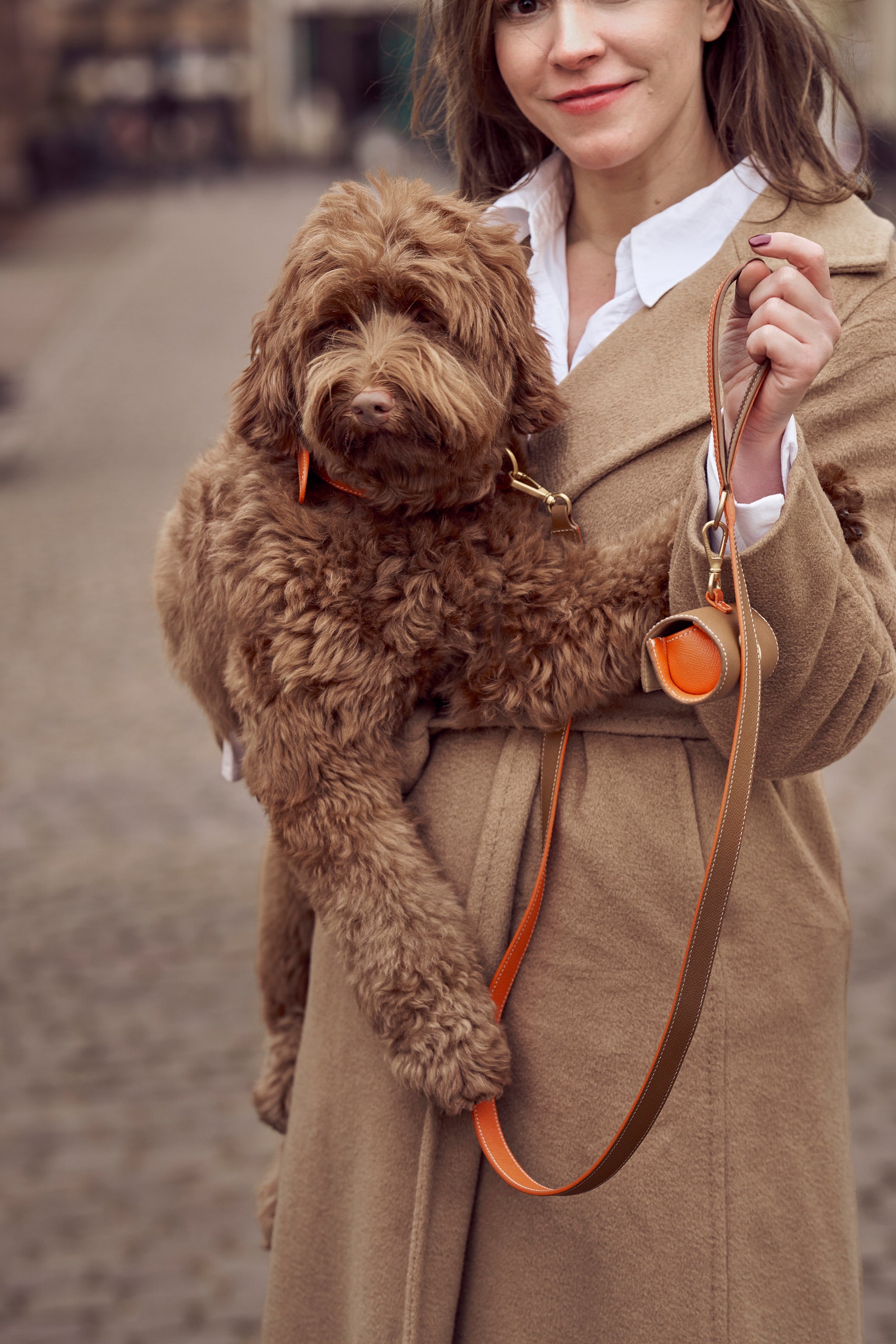 Labraddodle with an orange leather collar and matching camel leash with orange accents. 