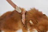 Close-up of a dog wearing a pink leather harness with mat rose gold hardware