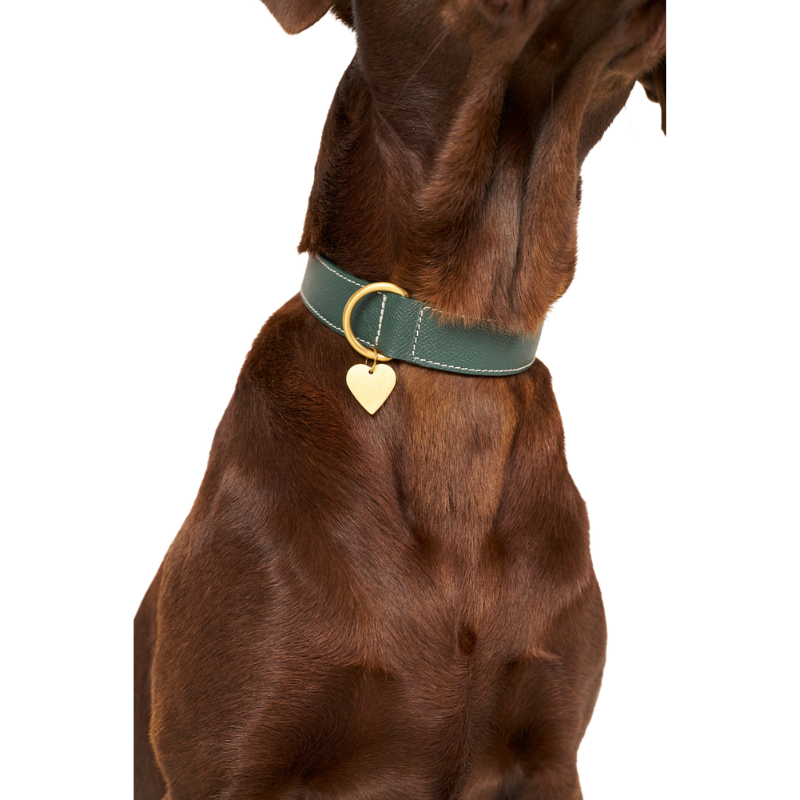 Close up of a reen embossed leather dog collar with mat rose gold hardware, worn by a brown dog made by Laelaps Paris 