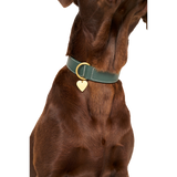 Close up of a reen embossed leather dog collar with mat rose gold hardware, worn by a brown dog made by Laelaps Paris 