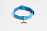 Gold bone dog tag engraved with Jazz on a blue leather collar