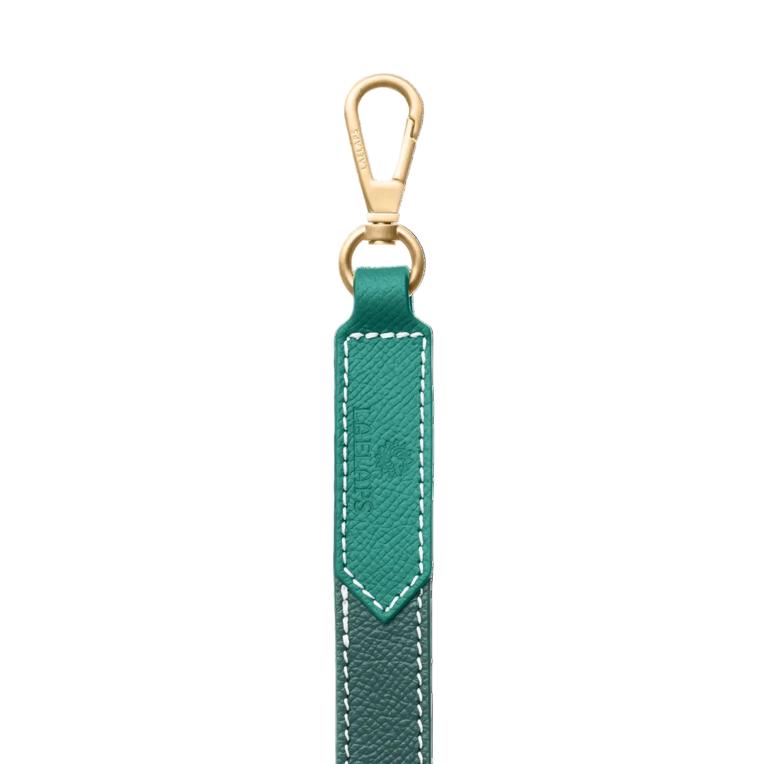 Close-up of green leather dog leash with gold clasp