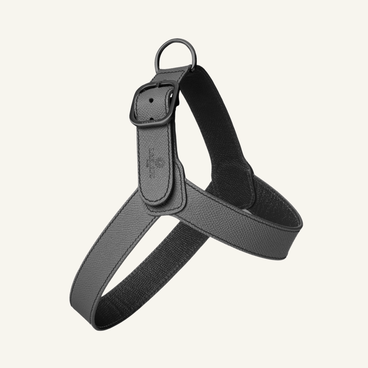 Leather Harness Graphite