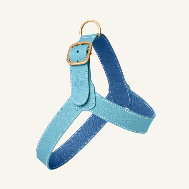 Leather Harness Light Blue