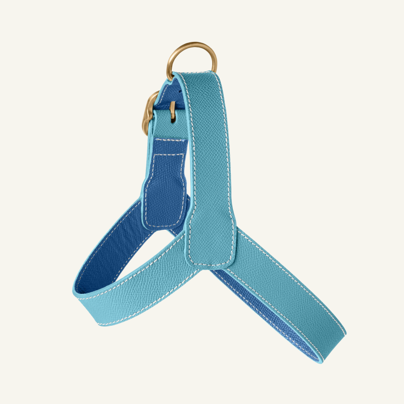 Leather Harness Light Blue