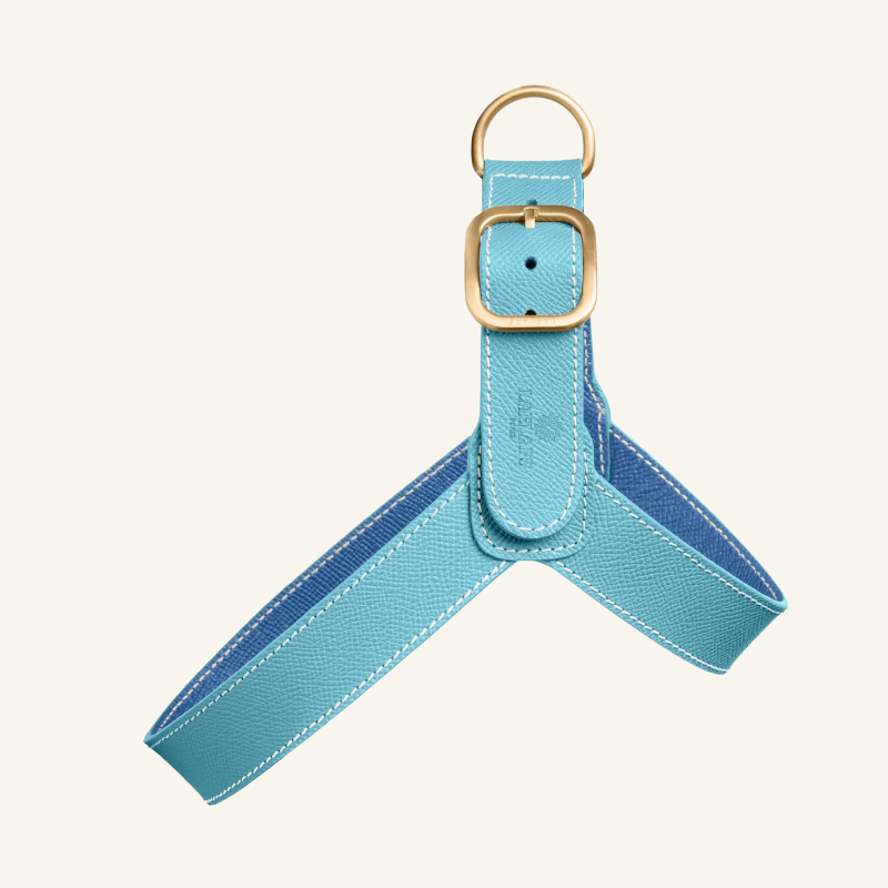 Leather Harness Light Blue