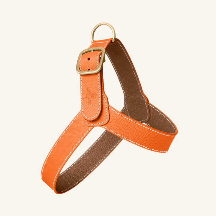 Leather Harness Orange