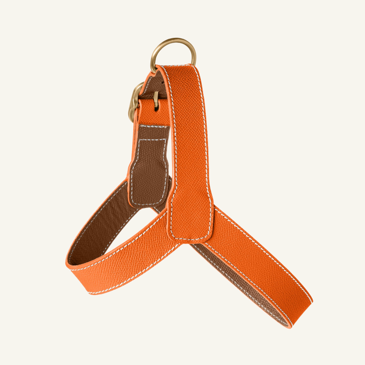 Leather Harness Orange