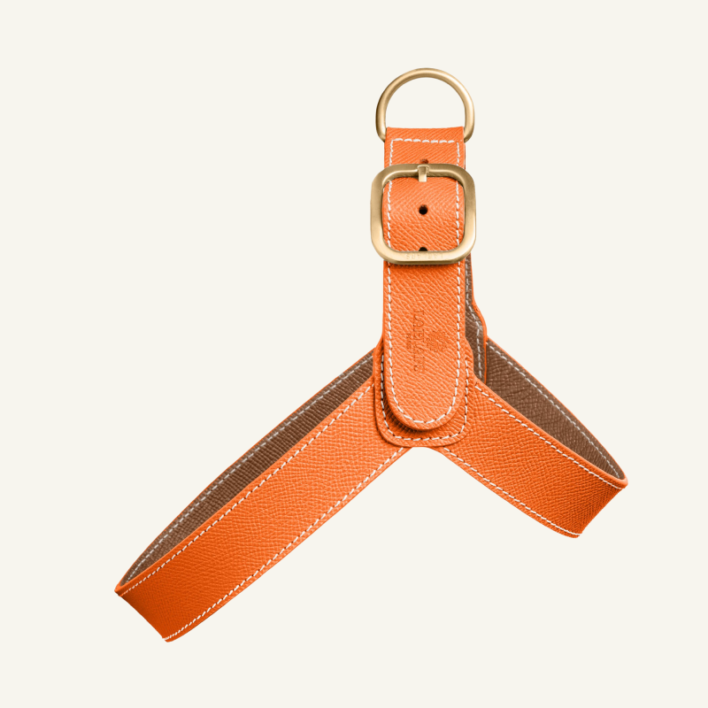 Leather Harness Orange