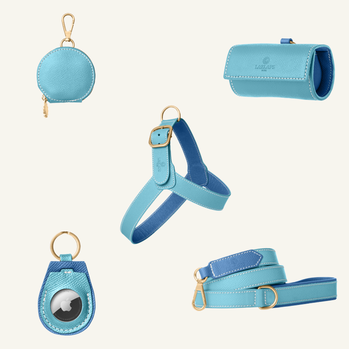 The perfect light blue harness set for your furry friend