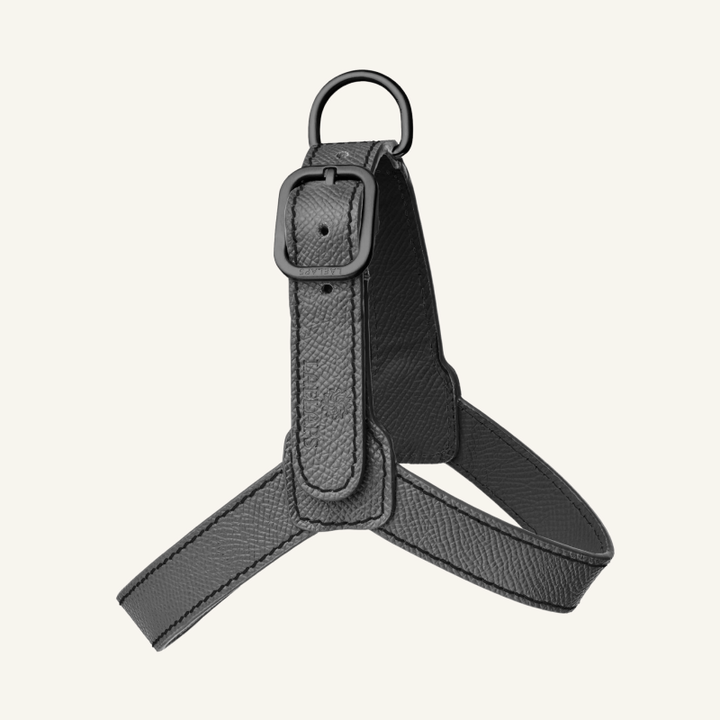 Leather Harness Graphite