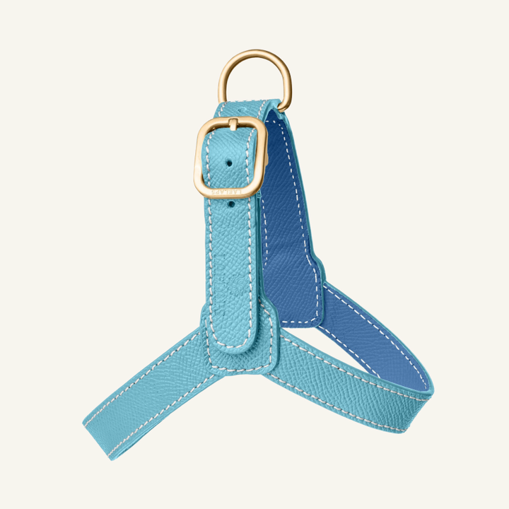 Leather Harness Light Blue