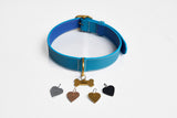 Blue leather collar with a gold bone dog tag and heart tags in four finishes