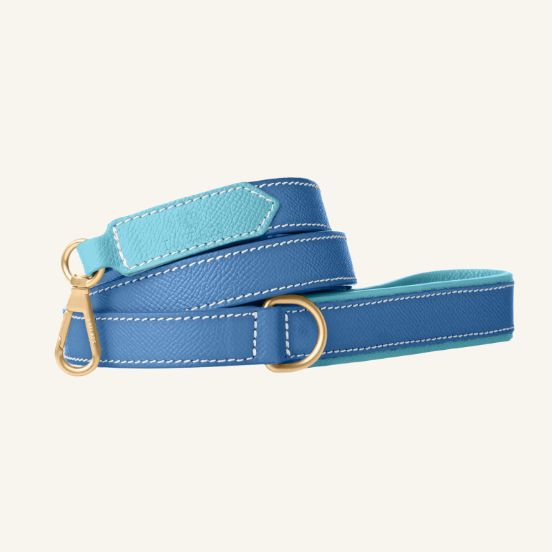 Leather Leash Blue