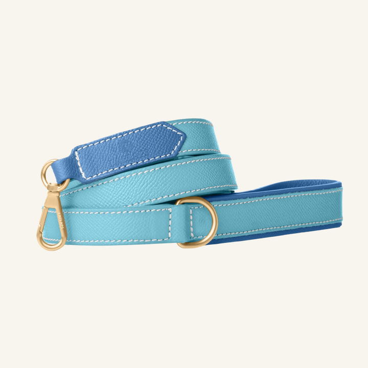 Leather Leash Light Blue