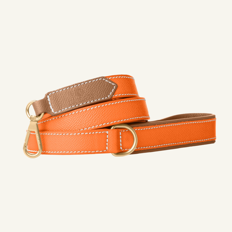 Leather Leash Orange