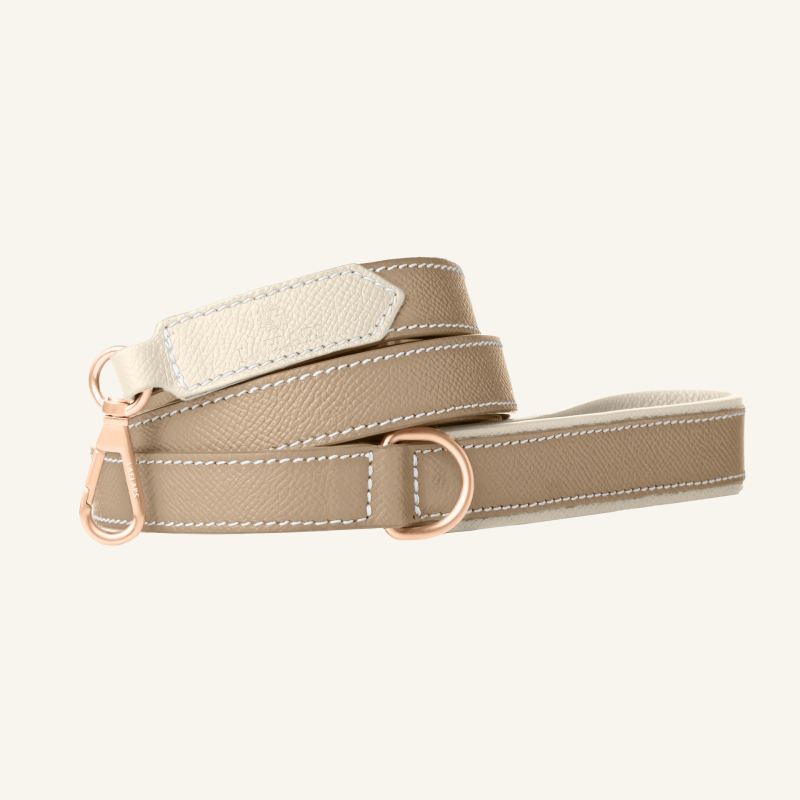 The perfect taupe harness set for your furry friend