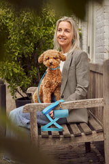 Toy poodle with light blue dog accessories from Laelaps Paris 