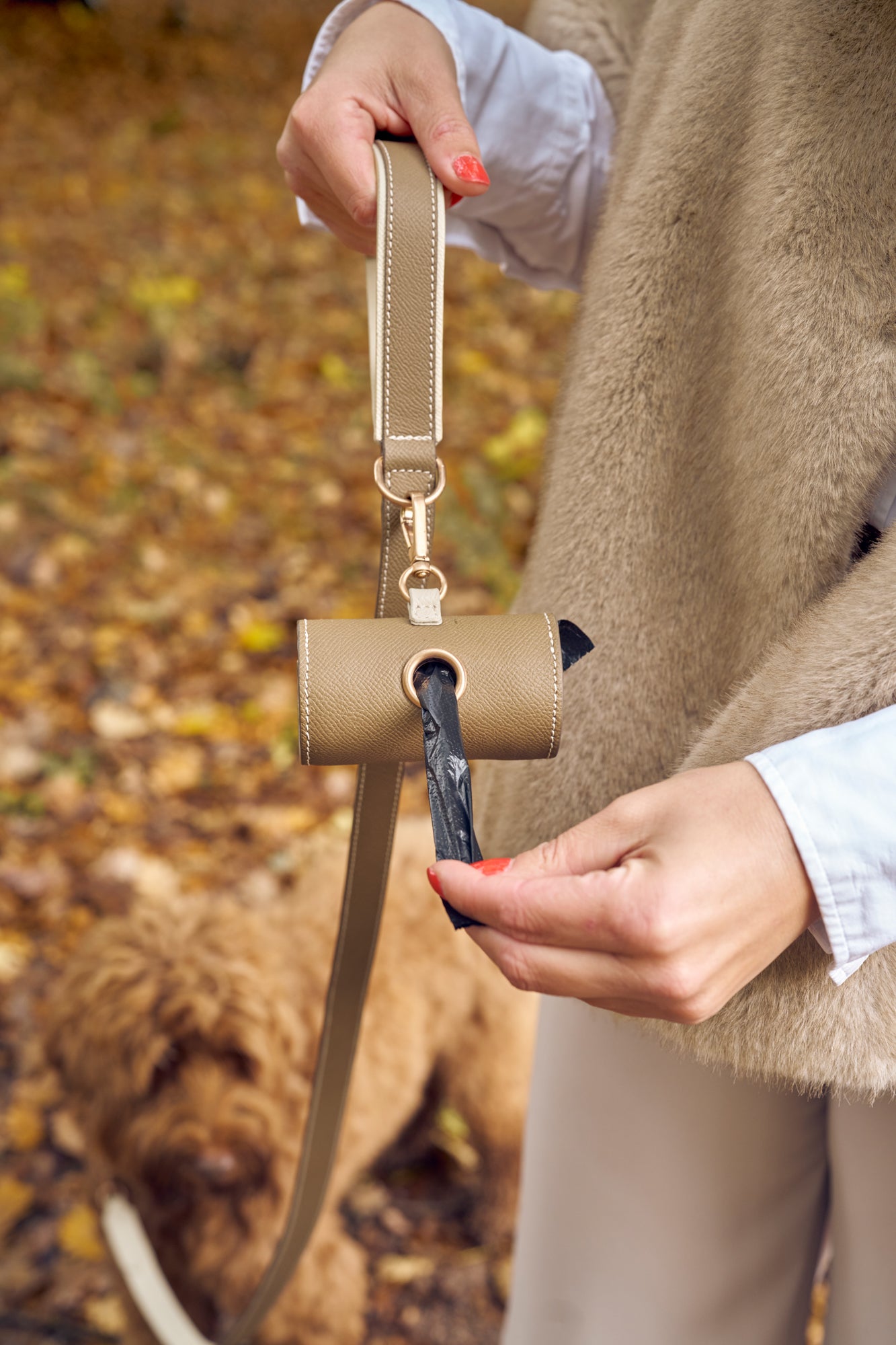 Taupe leather leash with off-white accent and matching taupe waste bag holder by Laelaps Paris 