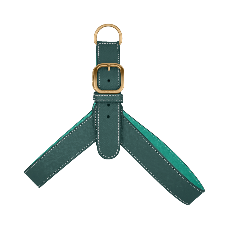 A dark green leather harness with a gold-tone metal ring and buckle, featuring white contrast stitching and a bright green inner lining, shown on a plain white background.