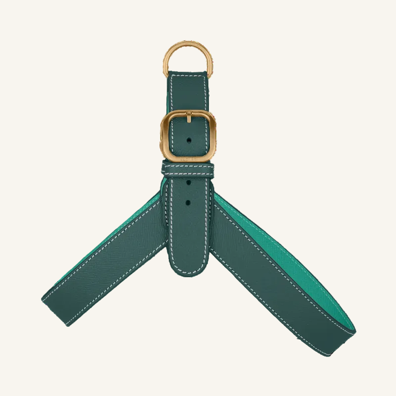 Leren tuigje Groen