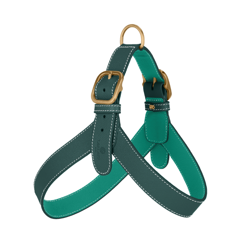 A green leather dog harness with gold-tone hardware, including a D-ring, buckle, and adjustment slider, shown on a plain white background.
