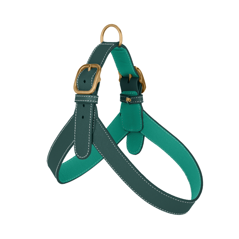 A green leather dog harness with gold-tone metal hardware, including a D-ring at the top, a buckle, and a strap adjustment slider, shown on a plain white background.