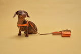 Dachshund with orange leather harness with matching leash and waste bag holder from Laelaps Paris 