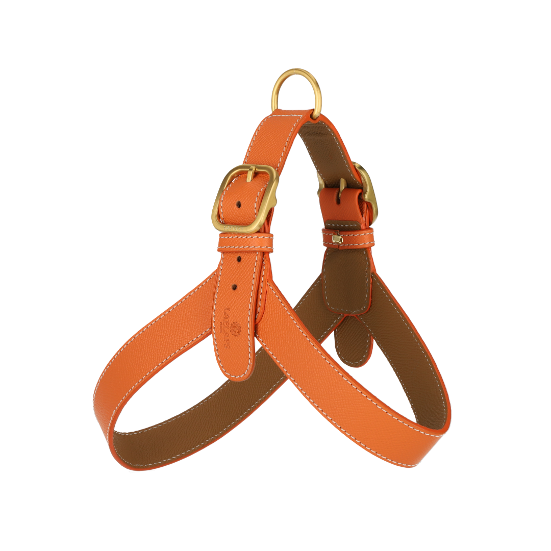Orange Leather Harness