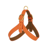 Orange Leather Harness