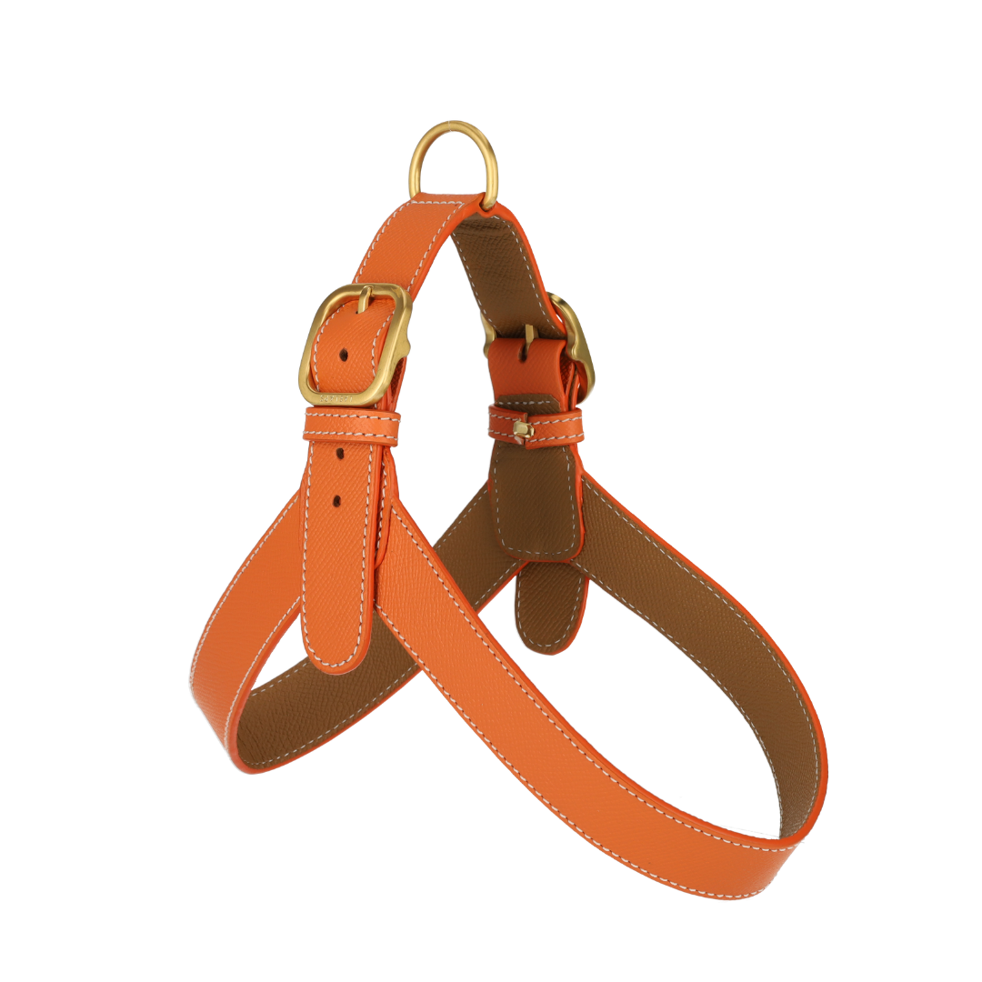 Orange Leather Harness