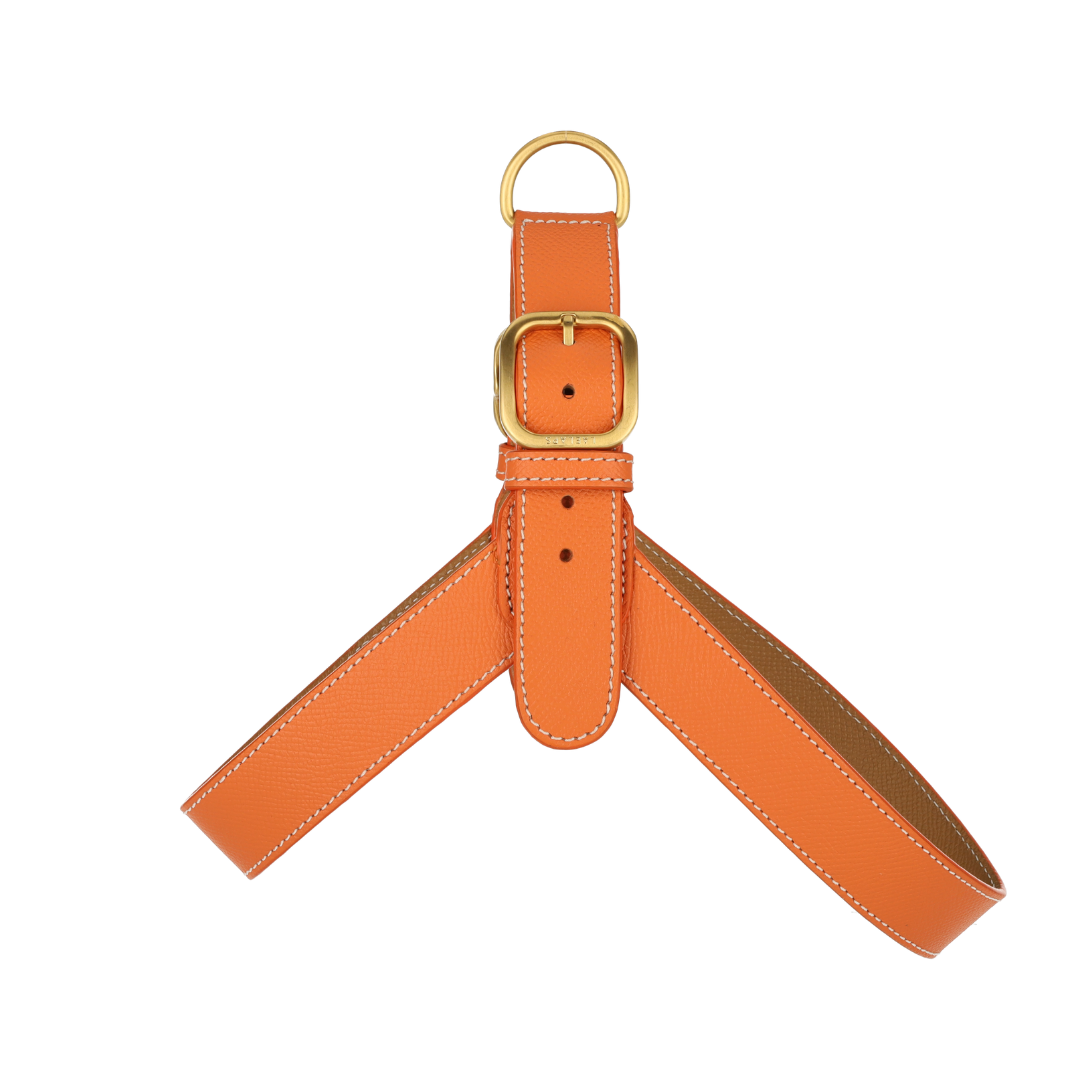 Orange Leather Harness