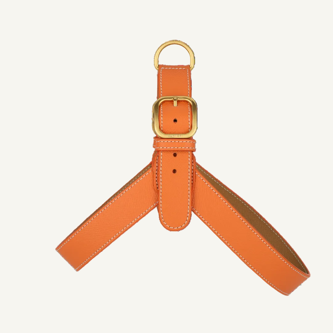 Orange Leather Harness