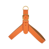 Orange Leather Harness