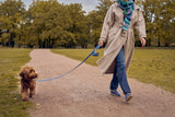Blue Leather Collar