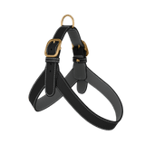 Black Leather Harness
