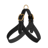 Black Leather Harness