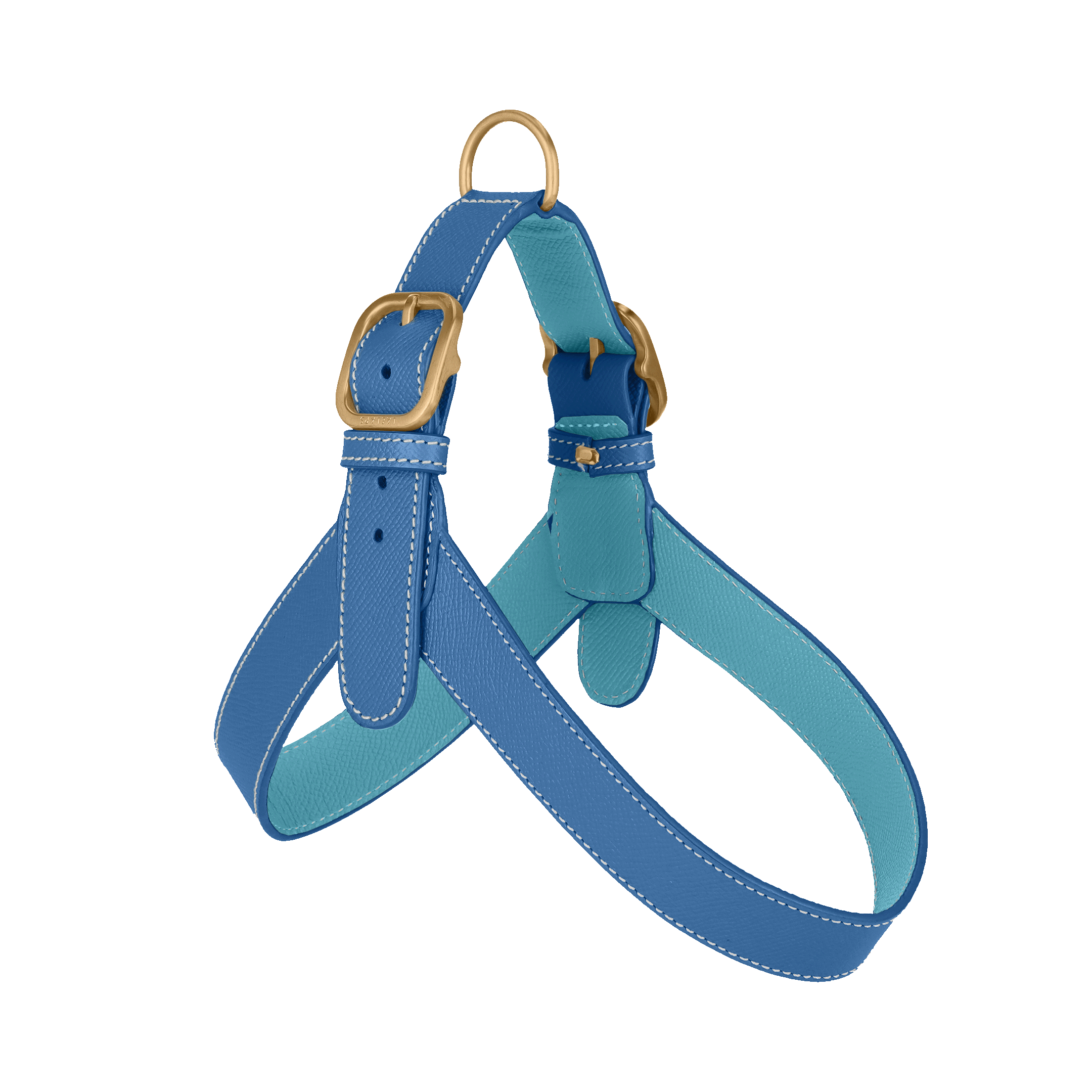 Blue Leather Harness