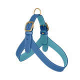 Blue Leather Harness