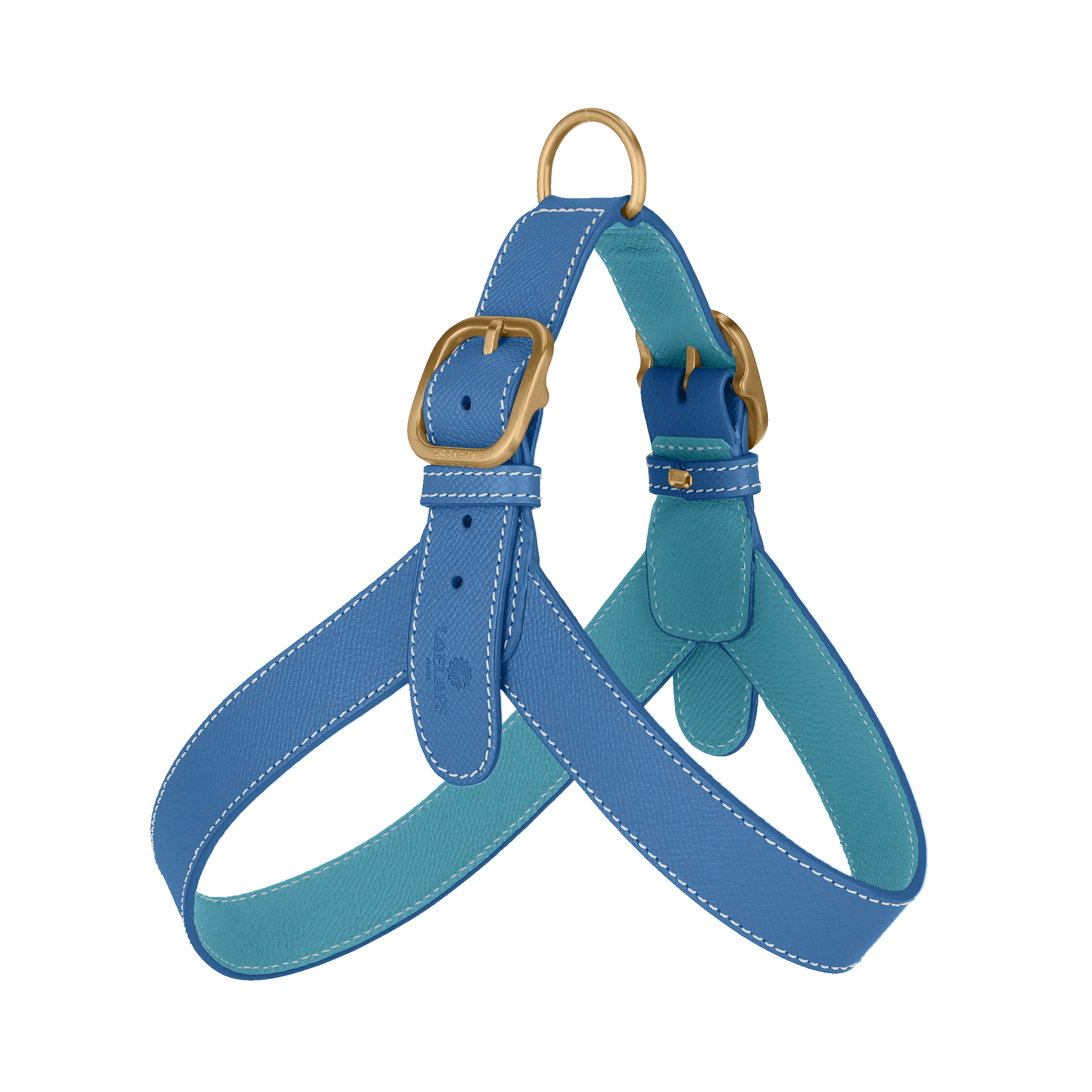 Blue Leather Harness