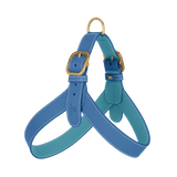 Blue Leather Harness