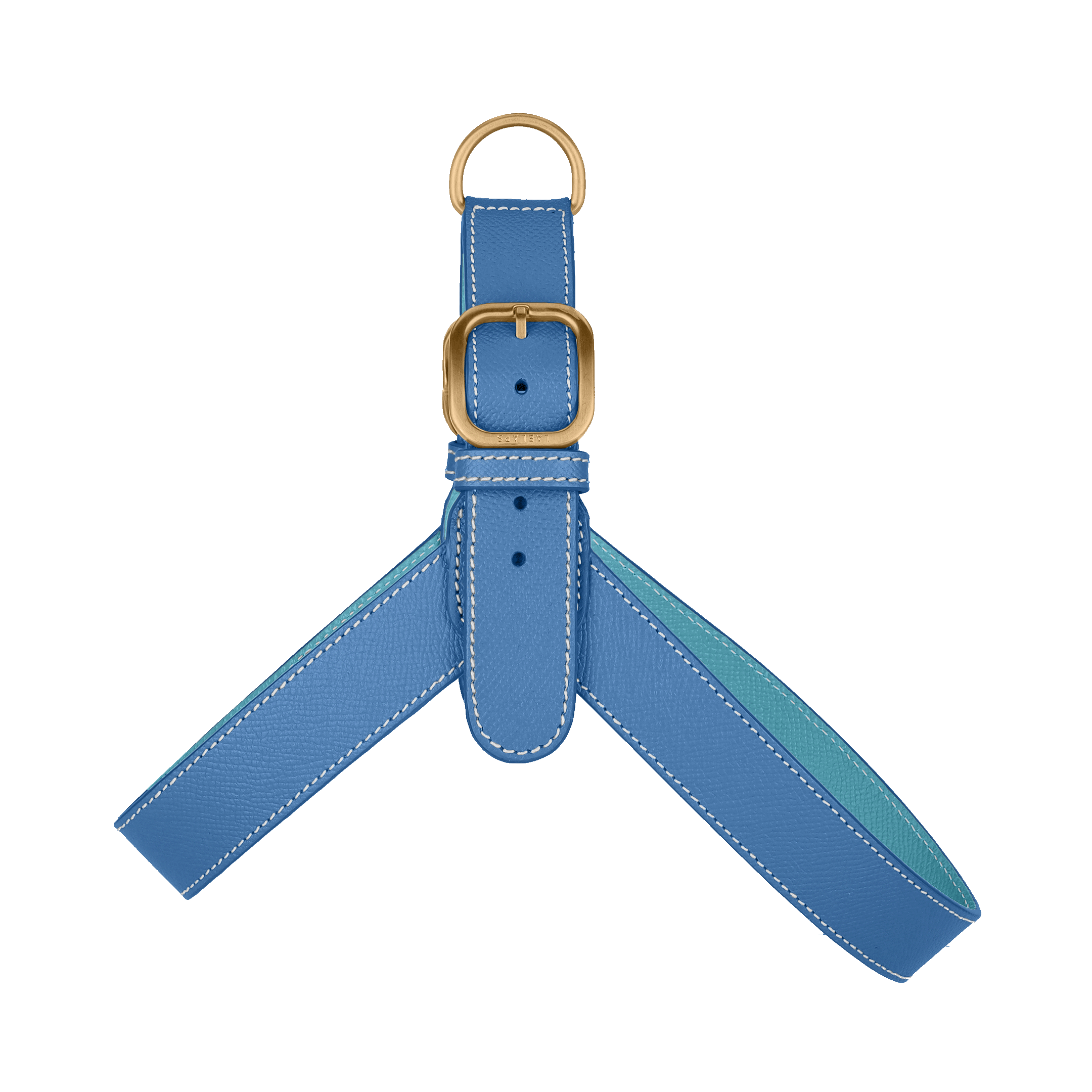 Blue Leather Harness